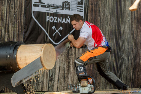 European Trophy Stihl Timbersports  Foto: lepszyPOZNAN.pl/Piotr Rychter