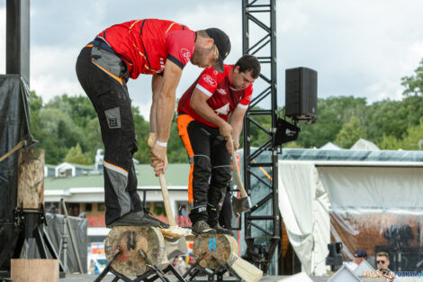 European Trophy Stihl Timbersports  Foto: lepszyPOZNAN.pl/Piotr Rychter