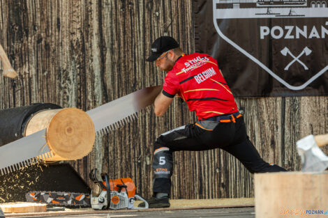 European Trophy Stihl Timbersports  Foto: lepszyPOZNAN.pl/Piotr Rychter