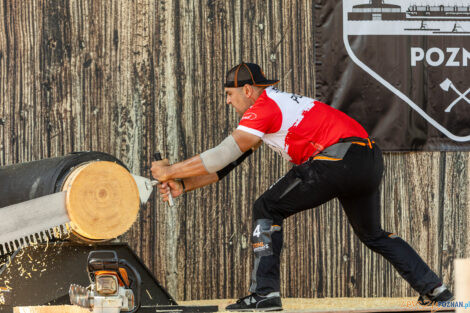 European Trophy Stihl Timbersports  Foto: lepszyPOZNAN.pl/Piotr Rychter