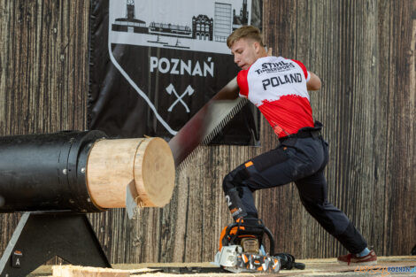 European Trophy Stihl Timbersports  Foto: lepszyPOZNAN.pl/Piotr Rychter