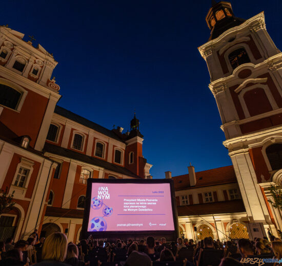 Kino #NaWolnym, kino plenerowe  Foto: lepszyPOZNAN.pl/Piotr Rychter