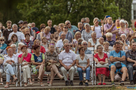 Poznańskie Muzykalia z utworami Elvisa Presleya 13.08.2023 - Mu  Foto: lepszyPOZNAN.PL/Ewelina Jaśkowiak