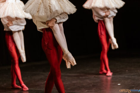 "Młody Duch Tańca" Polsko-Japoński projekt taneczny - Aula Ar  Foto: lepszyPOZNAN.PL/Ewelina Jaskowiak