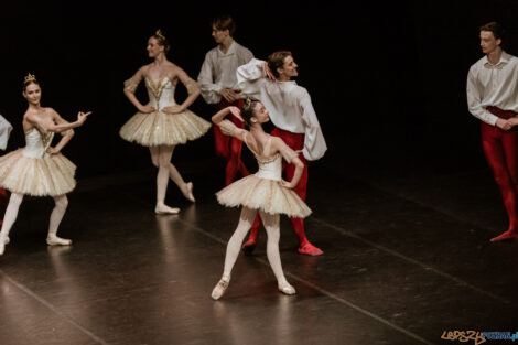 "Młody Duch Tańca" Polsko-Japoński projekt taneczny - Aula Ar  Foto: lepszyPOZNAN.PL/Ewelina Jaskowiak