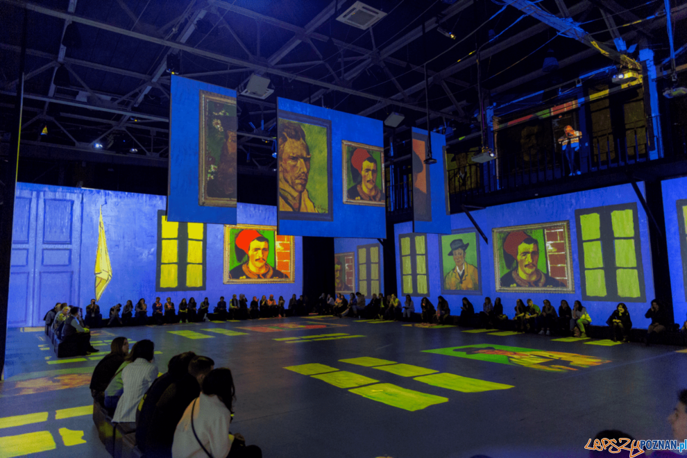 Van Gogh Multi-Sensory Exhibition  Foto: materiały prasowe