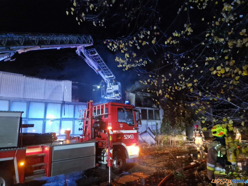 Podpalenie hali magazynowej w Obornikach  Foto: OSP Ocieszyn