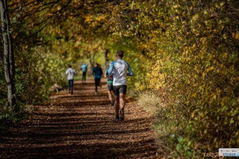 City Trail z Nationale-Nederlanden  Foto: materiały prasowe / Piotr Oleszak