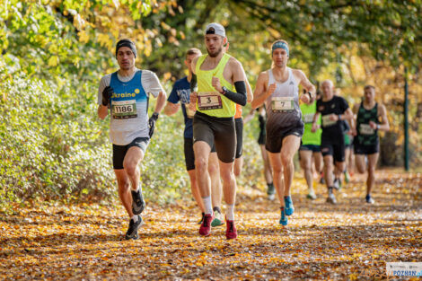 City Trail z Nationale-Nederlanden  Foto: materiały prasowe / Piotr Oleszak