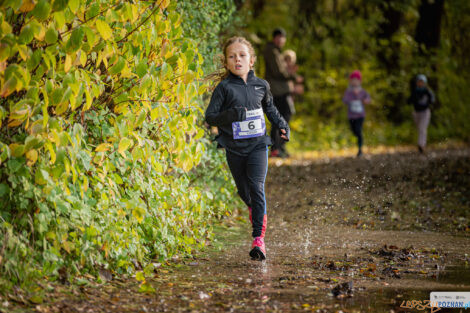 City Trail z Nationale-Nederlanden  Foto: materiały prasowe / Piotr Oleszak