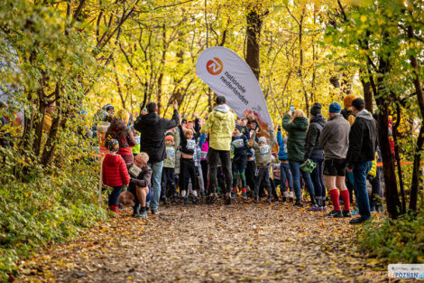 City Trail z Nationale-Nederlanden  Foto: materiały prasowe / Piotr Oleszak