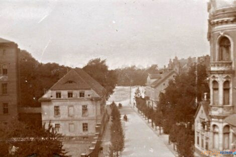 Libelta od Dzialynskich  Foto: fotopolska