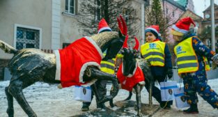 Koziołki  Foto: RB / Urząd Miasta Poznania 