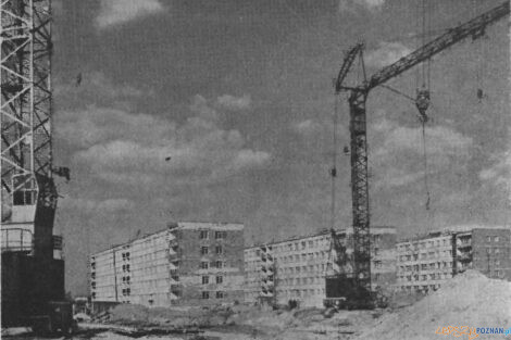 Piastowkie bloki 1968 KMP  Foto: Kronika Miasta Poznania nr 1/1969