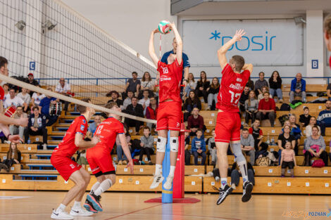 Półfinały Mistrzostw Polski w siatkówce Juniorów - Enea Ene  Foto: lepszyPOZNAN.pl/Piotr Rychter