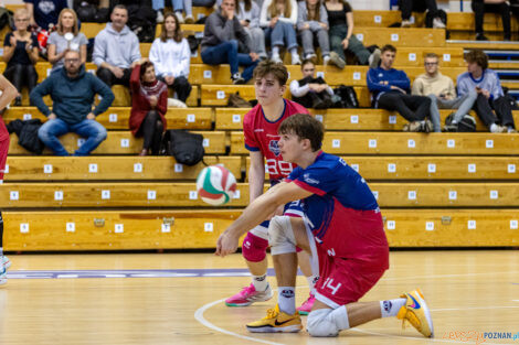 Półfinały Mistrzostw Polski w siatkówce Juniorów - Enea Ene  Foto: lepszyPOZNAN.pl/Piotr Rychter