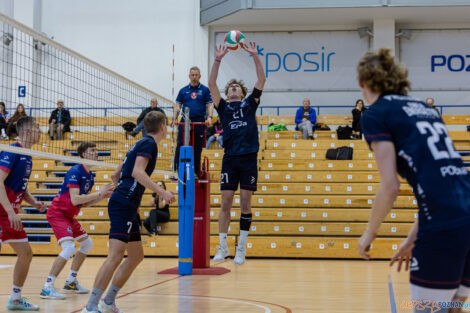 Półfinały Mistrzostw Polski w siatkówce Juniorów - Enea Ene  Foto: lepszyPOZNAN.pl/Piotr Rychter