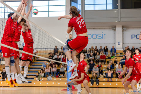 Półfinały Mistrzostw Polski w siatkówce Juniorów - Enea Ene  Foto: lepszyPOZNAN.pl/Piotr Rychter