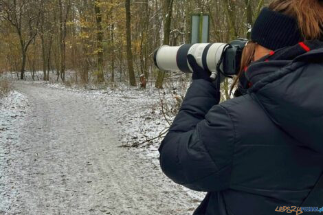 Birdwatching - ptaki  Foto: Uniwersytet Przyrodniczy - materiały prasowe