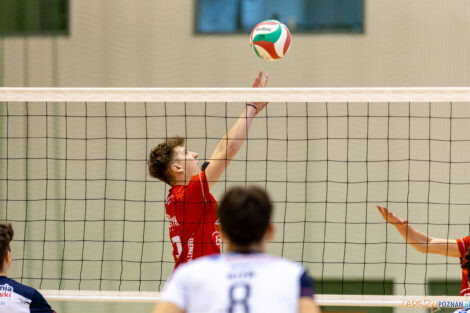 Ćwierćfinał Mistrzostw Polski Juniorów w siatkówce Poznań 2024  Foto: lepszyPOZNAN.pl/Piotr Rychter