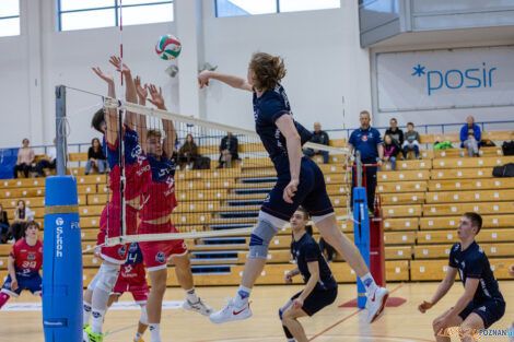 Półfinały Mistrzostw Polski w siatkówce Juniorów - Enea Ene  Foto: lepszyPOZNAN.pl/Piotr Rychter