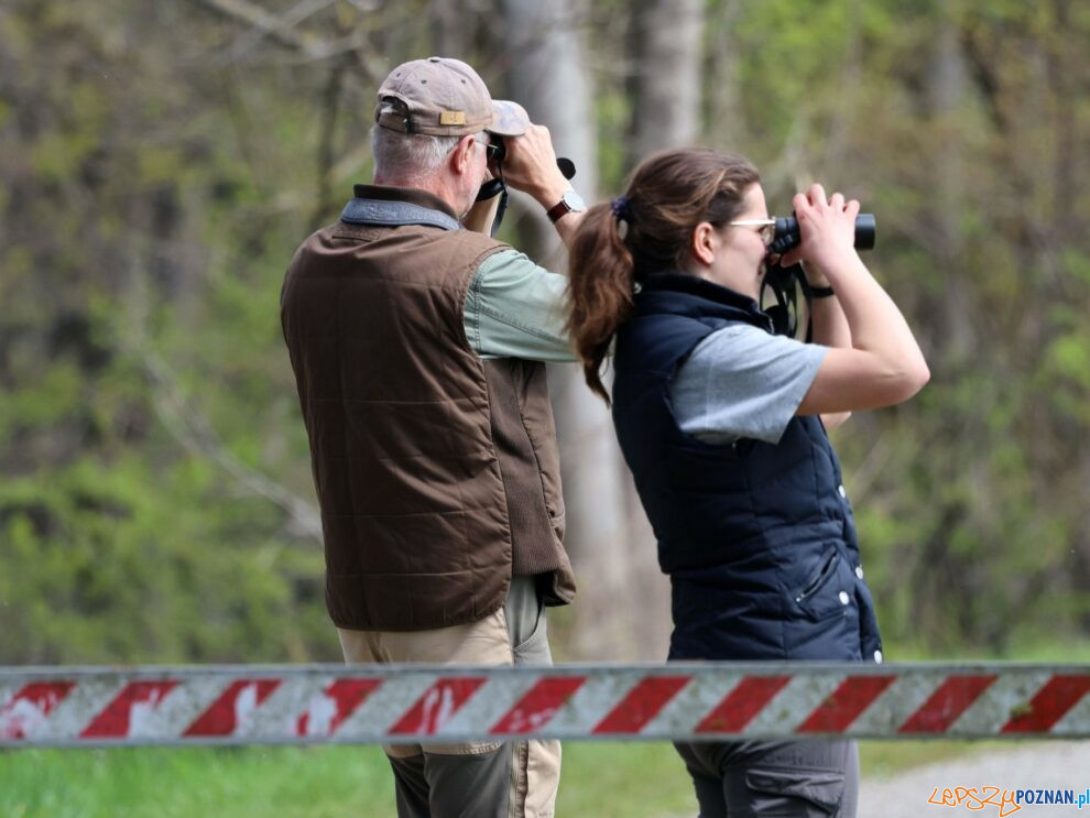 Birdwatching podglądanie ptaków  Foto: Uniwersytet Przyrodniczy - materiały prasowe