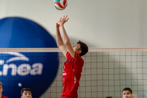 Półfinały Mistrzostw Polski w siatkówce Juniorów - Enea Ene  Foto: lepszyPOZNAN.pl/Piotr Rychter