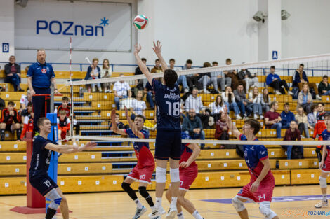 Półfinały Mistrzostw Polski w siatkówce Juniorów - Enea Ene  Foto: lepszyPOZNAN.pl/Piotr Rychter