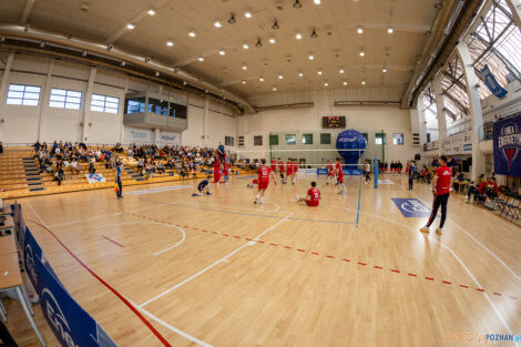 Półfinały Mistrzostw Polski w siatkówce Juniorów - Enea Ene  Foto: lepszyPOZNAN.pl/Piotr Rychter