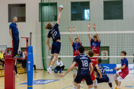 Półfinały Mistrzostw Polski w siatkówce Juniorów - Enea Ene  Foto: lepszyPOZNAN.pl/Piotr Rychter