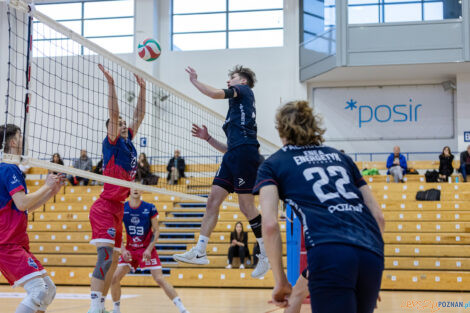 Półfinały Mistrzostw Polski w siatkówce Juniorów - Enea Ene  Foto: lepszyPOZNAN.pl/Piotr Rychter