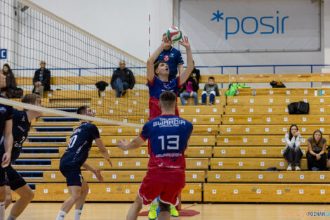 Półfinały Mistrzostw Polski w siatkówce Juniorów - Enea Ene  Foto: lepszyPOZNAN.pl/Piotr Rychter