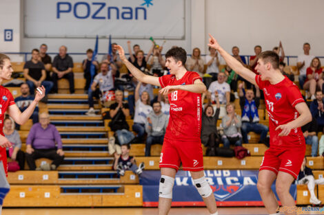 Półfinały Mistrzostw Polski w siatkówce Juniorów - Enea Ene  Foto: lepszyPOZNAN.pl/Piotr Rychter