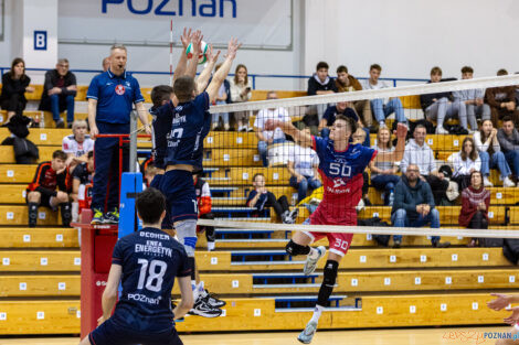 Półfinały Mistrzostw Polski w siatkówce Juniorów - Enea Ene  Foto: lepszyPOZNAN.pl/Piotr Rychter