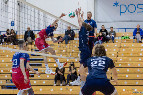 Półfinały Mistrzostw Polski w siatkówce Juniorów - Enea Ene  Foto: lepszyPOZNAN.pl/Piotr Rychter