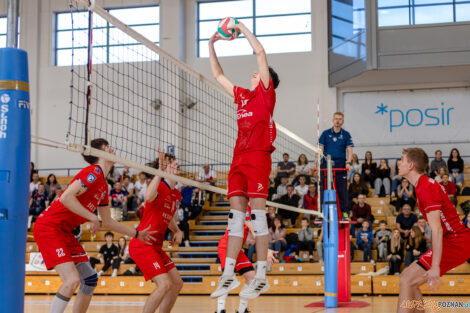 Półfinały Mistrzostw Polski w siatkówce Juniorów - Enea Ene  Foto: lepszyPOZNAN.pl/Piotr Rychter