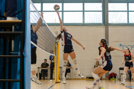 1/8 MP Juniorek i Juniorów Młodszych - Enea Energetyk Poznań  Foto: lepszyPOZNAN.pl/Piotr Rychter