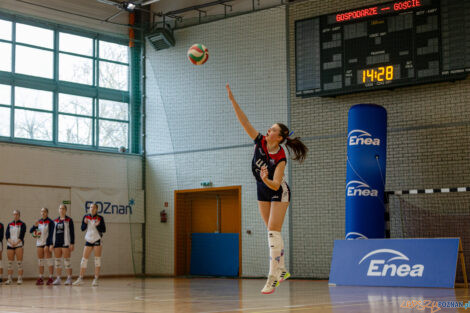 1/8 MP Juniorek i Juniorów Młodszych - Enea Energetyk Poznań  Foto: lepszyPOZNAN.pl/Piotr Rychter