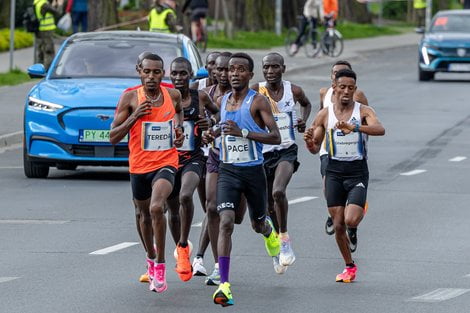 16. PKO Poznań Półmaraton  Foto: lepszyPOZNAN.pl/Piotr Rychter