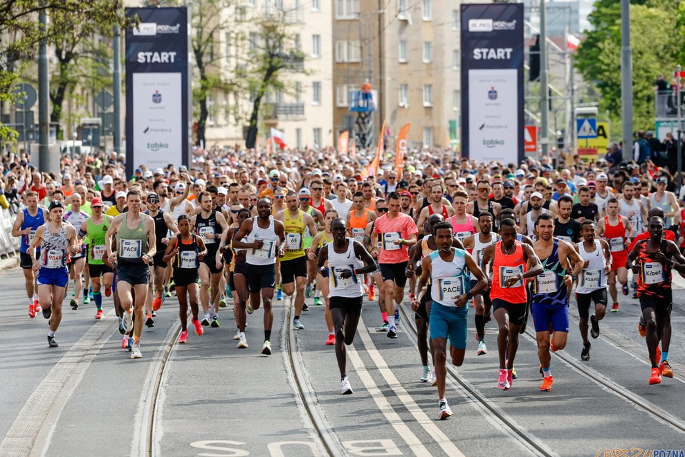 16. PKO Poznań Półmaraton  Foto: lepszyPOZNAN.pl/Piotr Rychter