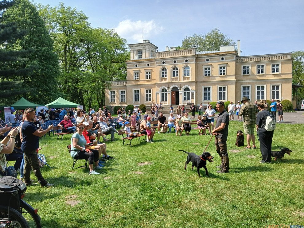 Muzeum Uzarzewo [mat prasowe]  Foto: materiały prasowe