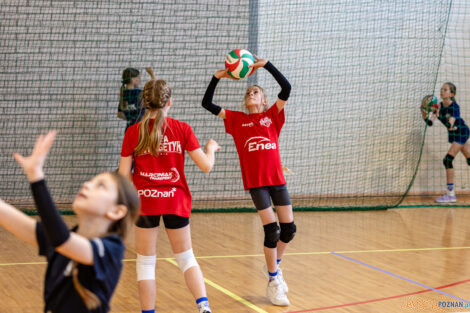 Enea Mini Cup 2025  Foto: lepszyPOZNAN.pl / Piotr Rychter
