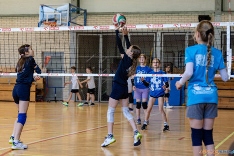 Enea Mini Cup 2025  Foto: lepszyPOZNAN.pl / Piotr Rychter