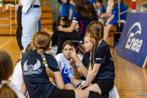 Enea Mini Cup 2025  Foto: lepszyPOZNAN.pl / Piotr Rychter