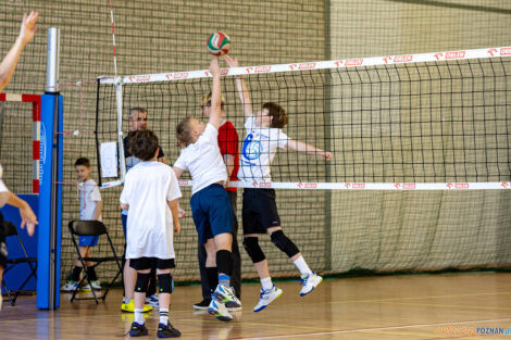 Enea Mini Cup 2025  Foto: lepszyPOZNAN.pl / Piotr Rychter