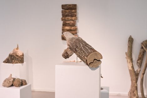 Rusałka jezioro które łączy  Foto: Barak Kultury / materiały prasowe