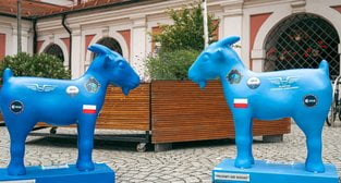 Polak w kosmosie  Foto: UMP