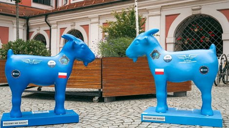 Polak w kosmosie  Foto: UMP