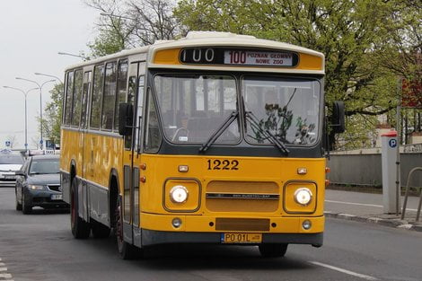 Linie turystyczne: w weekend zapraszamy na przejażdżki historycznymi tramwajami i autobusami  Foto: materiały prasowe / MPK Poznań