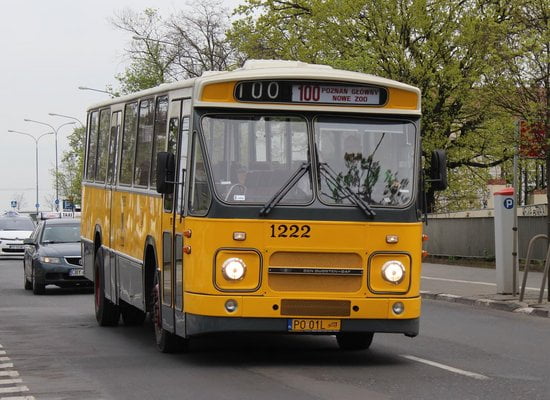 Linie turystyczne: w weekend zapraszamy na przejażdżki historycznymi tramwajami i autobusami  Foto: materiały prasowe / MPK Poznań